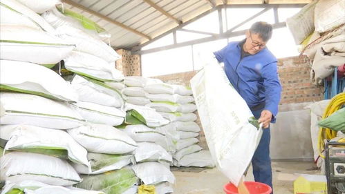 阿巴嘎旗洪格爾畜牧業合作社 多元化經營助力現代畜牧業發展