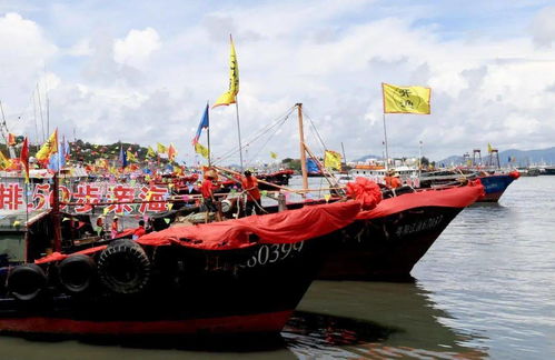 第十八屆南海陽江開漁節隆重舉行，全省漁船揚帆起航，畜牧漁業飼料銷售迎來新機遇