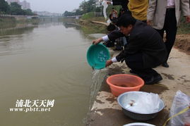 生態(tài)修復，漁業(yè)振興——浦北縣水產(chǎn)畜牧獸醫(yī)局成功舉辦漁業(yè)資源人工增殖放流活動