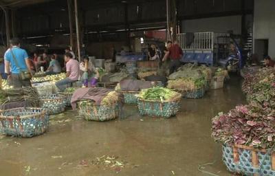 菜價持續(xù)走低，應季蔬菜批量上市成主因