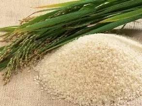 新規(guī)出臺！農(nóng)業(yè)部明確 無此證不得銷售食用農(nóng)產(chǎn)品
